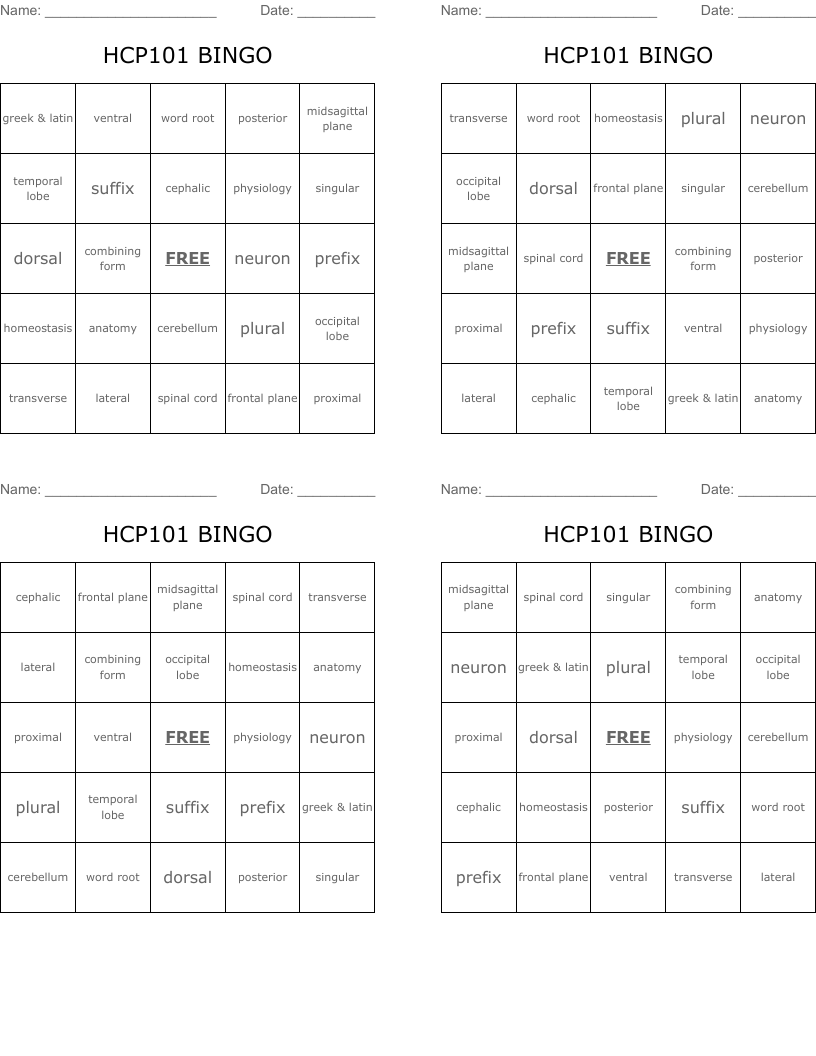 HCP101 BINGO
