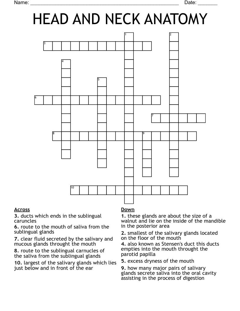 HEAD AND NECK ANATOMY  Crossword