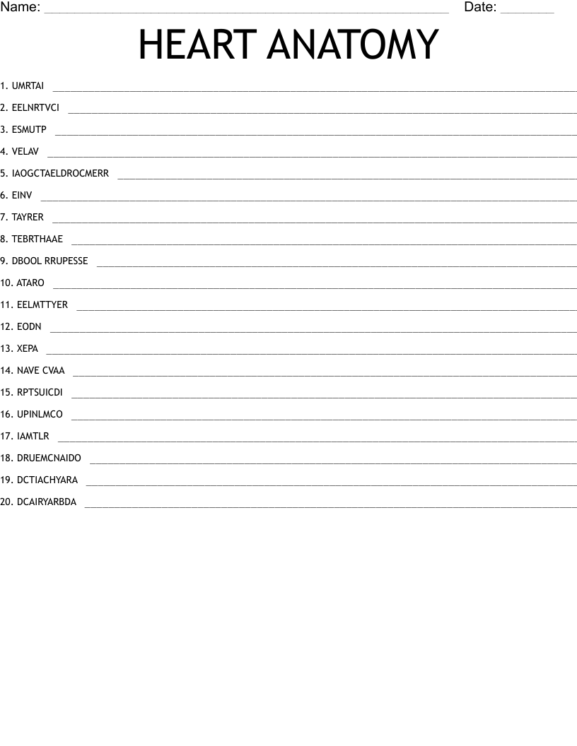 HEART ANATOMY Word Scramble
