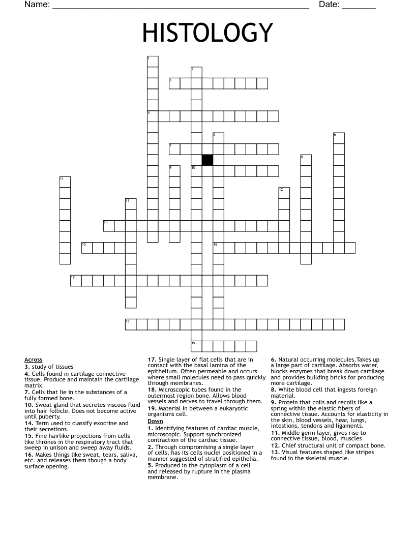 HISTOLOGY Crossword