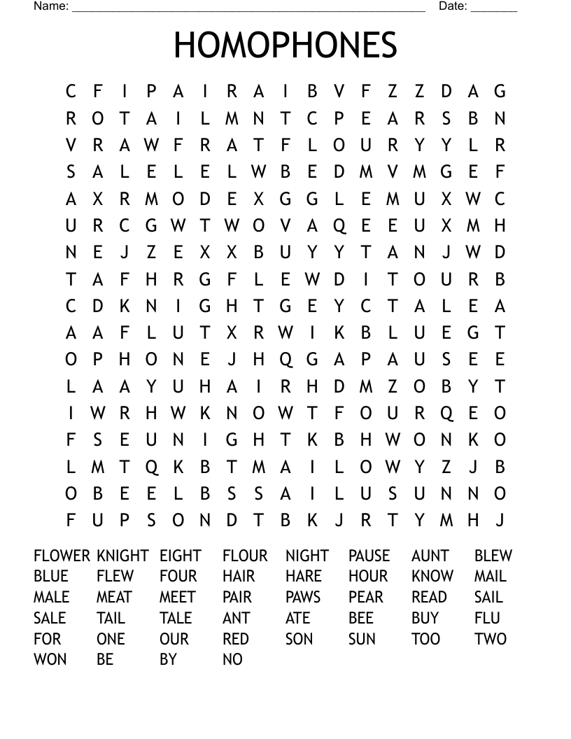 HOMOPHONES Word Search
