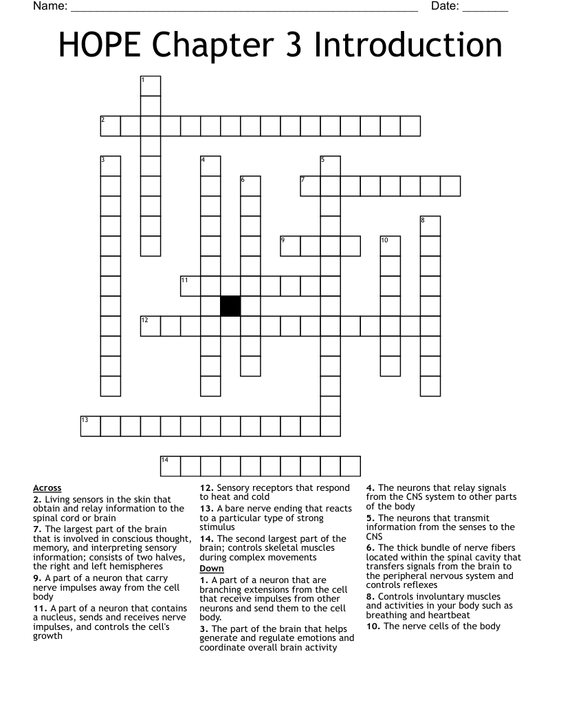 HOPE Chapter 3 Introduction Crossword