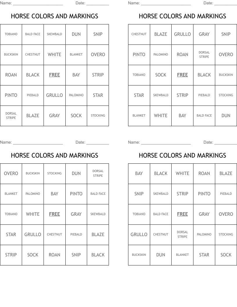 HORSE COLORS AND MARKINGS Bingo Cards