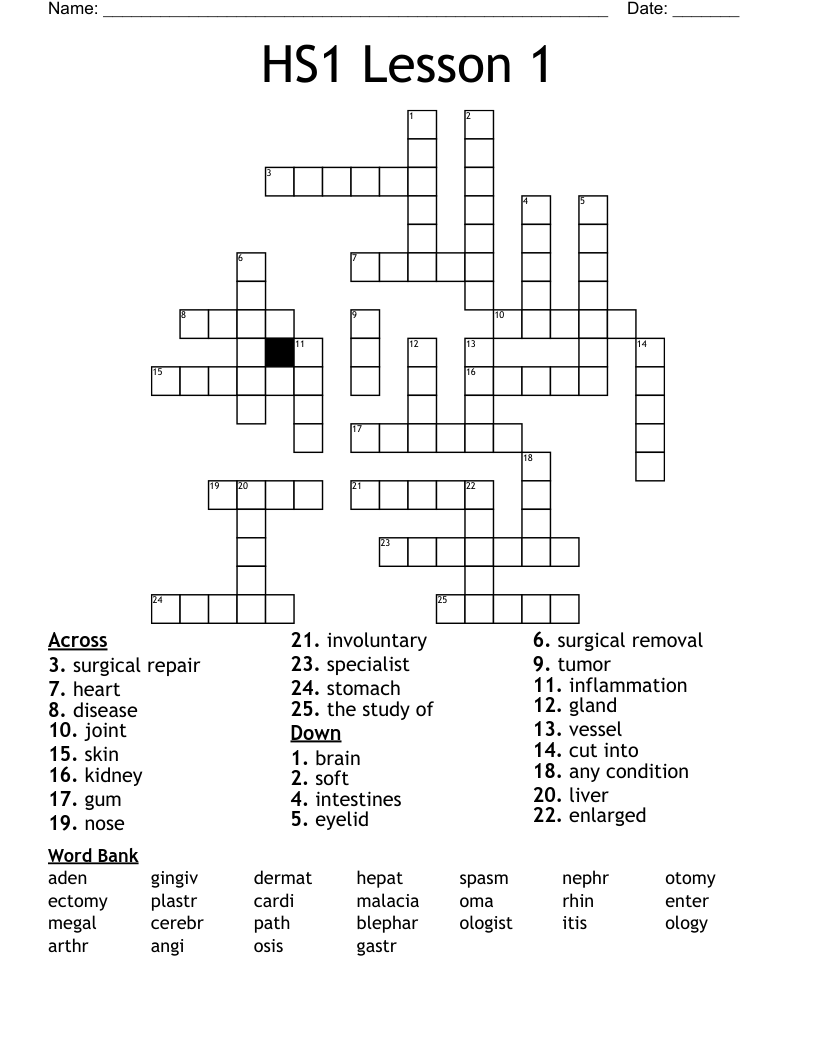 HS1 Lesson 1 Crossword