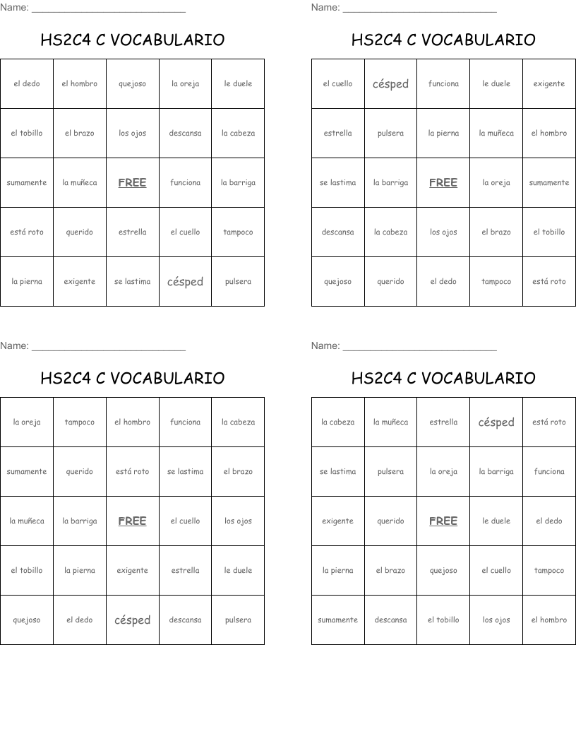 HS2C4 C VOCABULARIO Bingo Cards