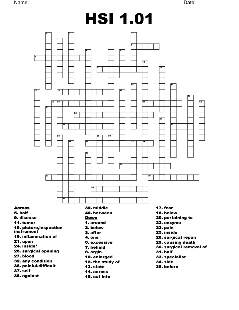 HSI 1.01 Crossword