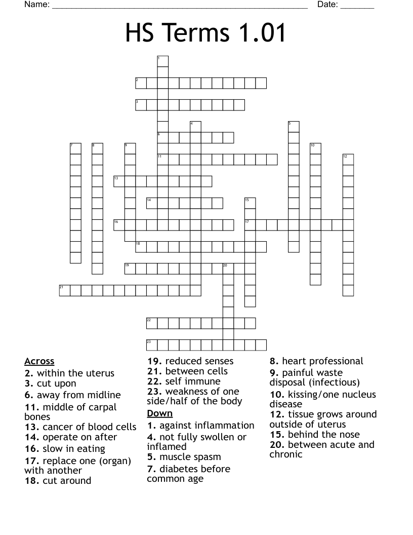 HS Terms 1.01 Crossword
