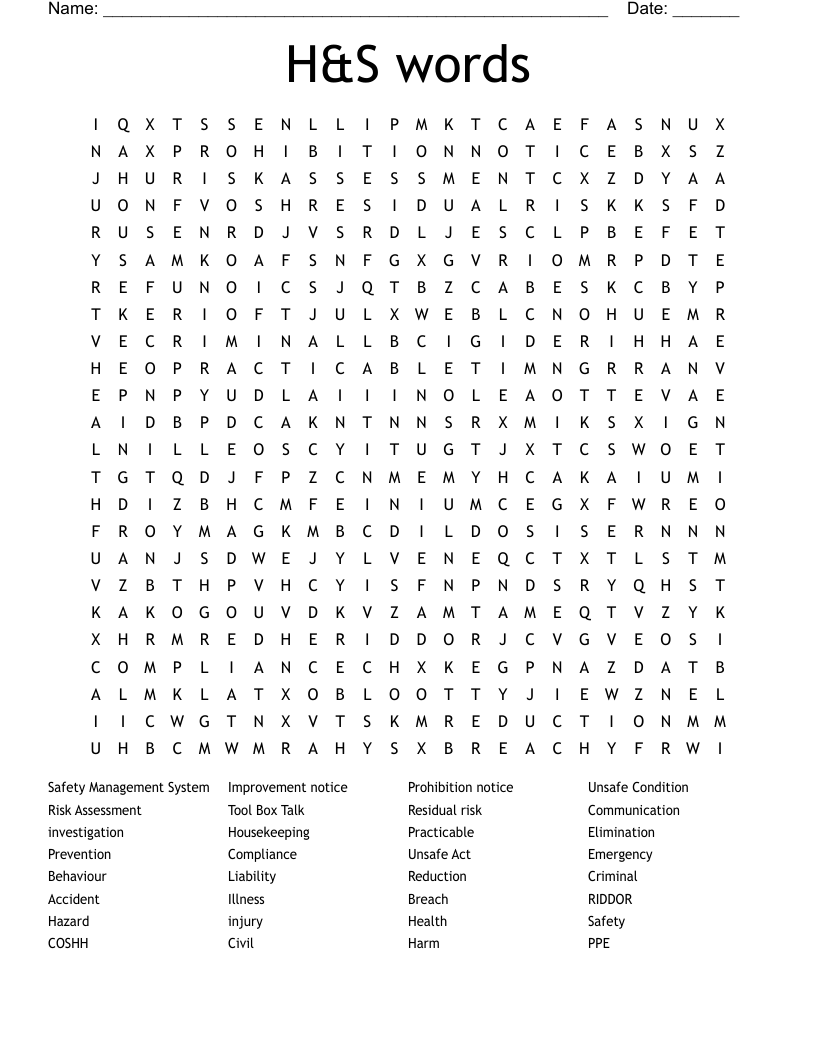 H&S words Word Search