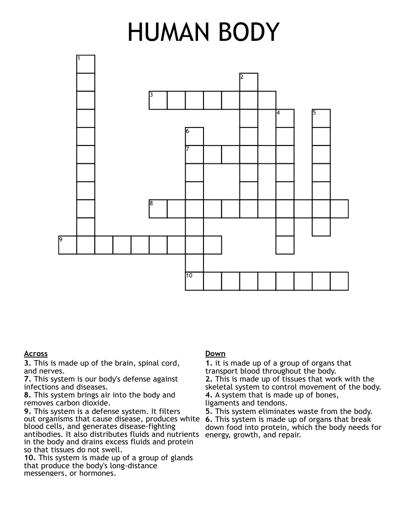 HUMAN BODY Crossword