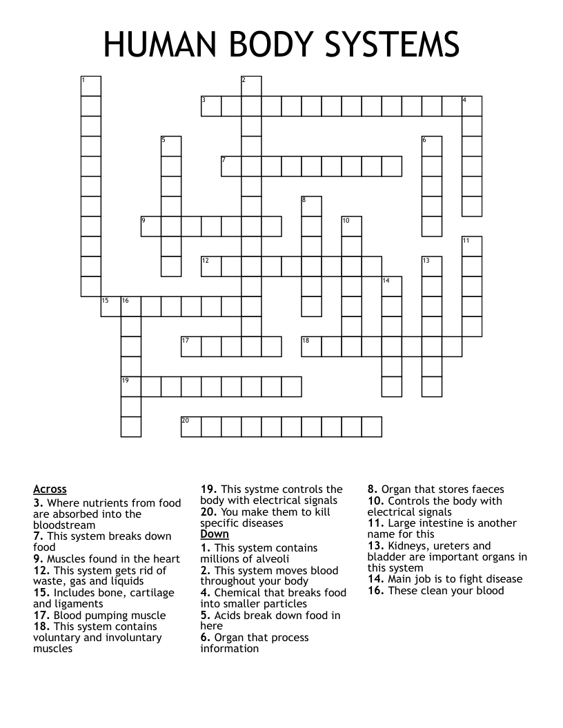 HUMAN BODY SYSTEMS Crossword