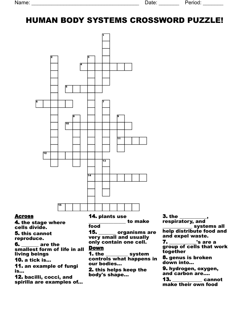 HUMAN BODY SYSTEMS CROSSWORD PUZZLE!