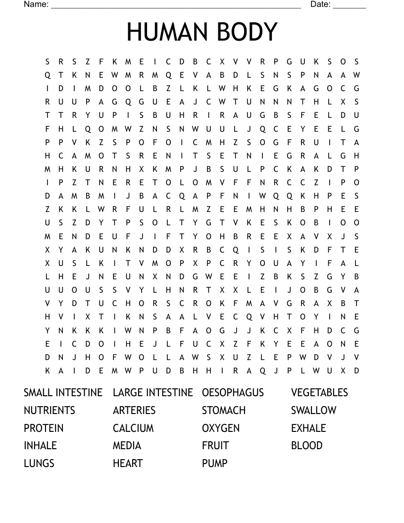 HUMAN BODY  Word Search