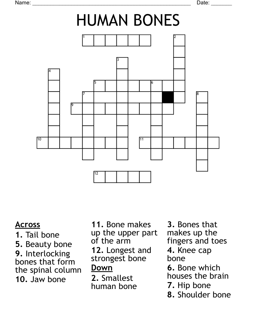 HUMAN BONES Crossword