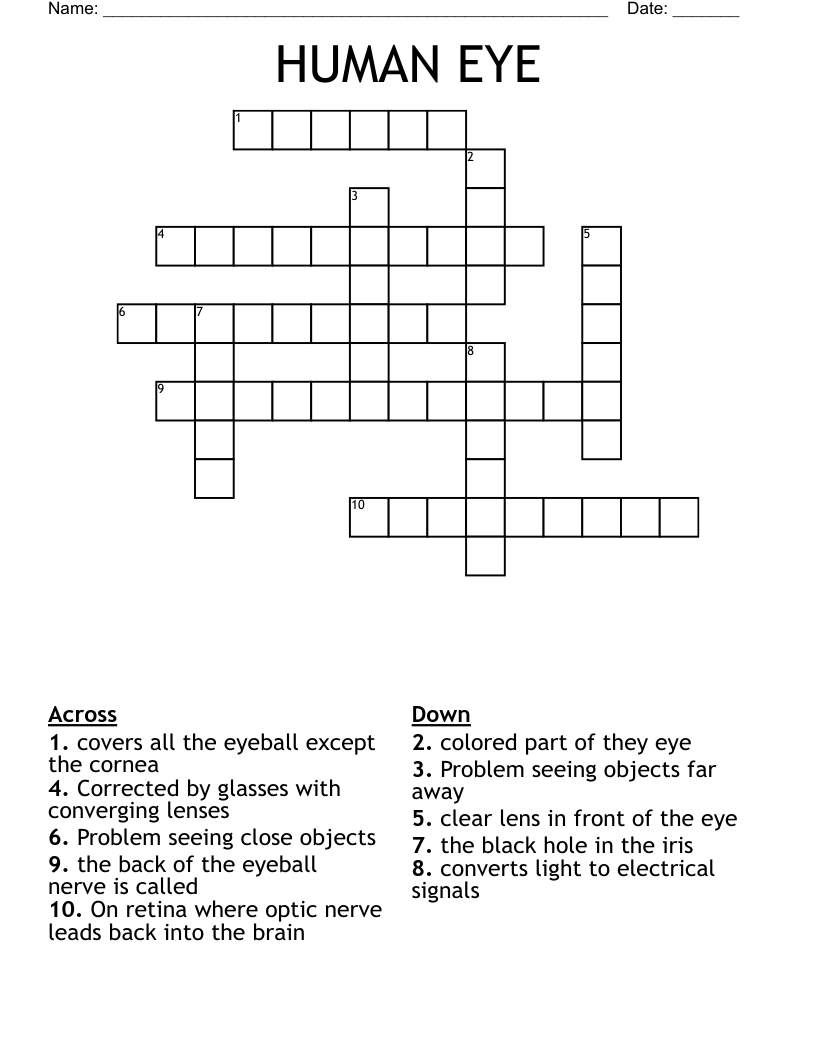HUMAN EYE Crossword