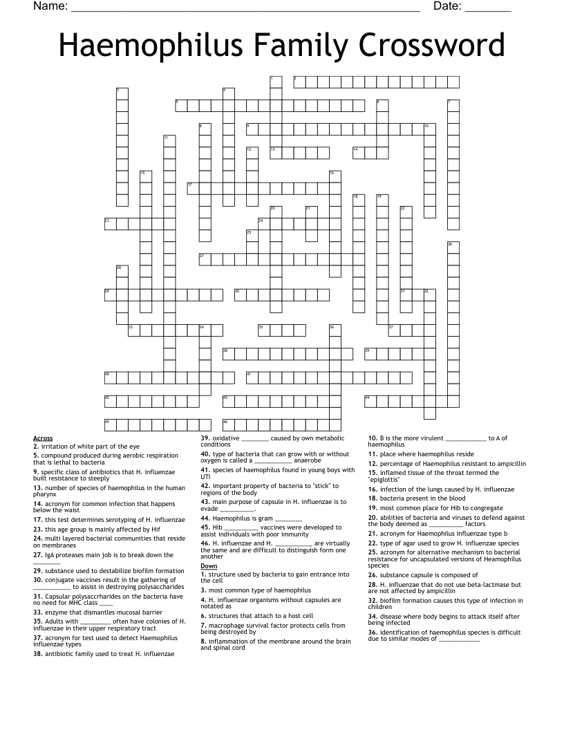 Haemophilus Family Crossword