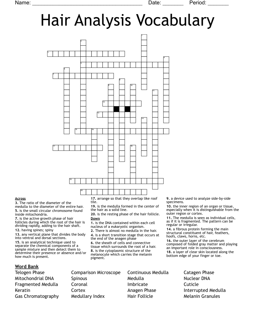 Hair Analysis Vocabulary Crossword