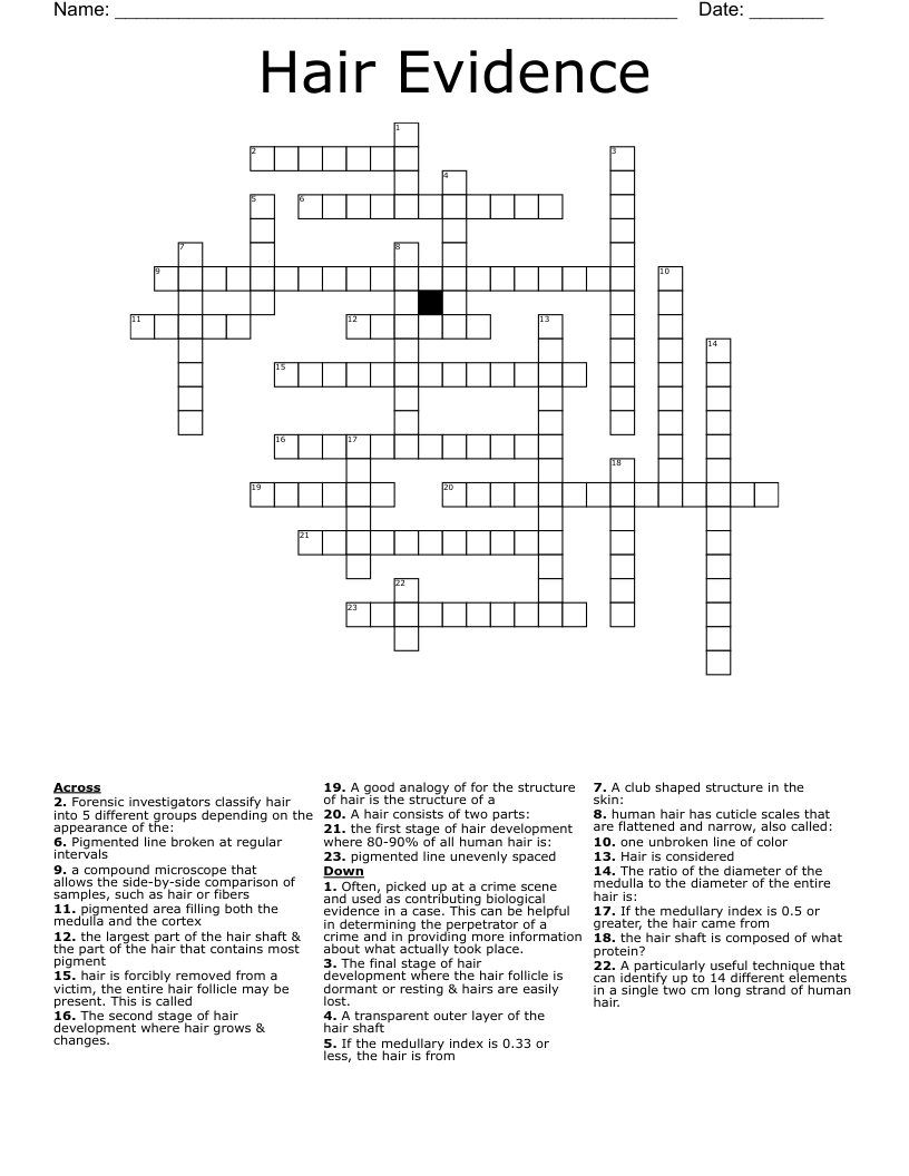 Hair Evidence  Crossword
