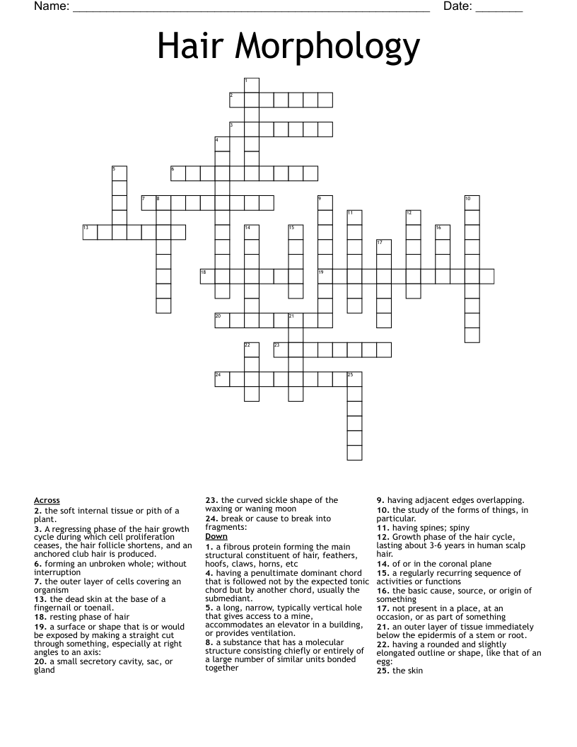 Hair Morphology Crossword