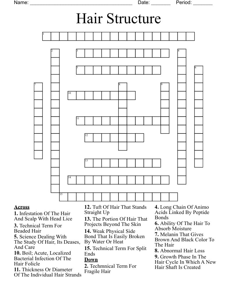 Hair Structure Crossword
