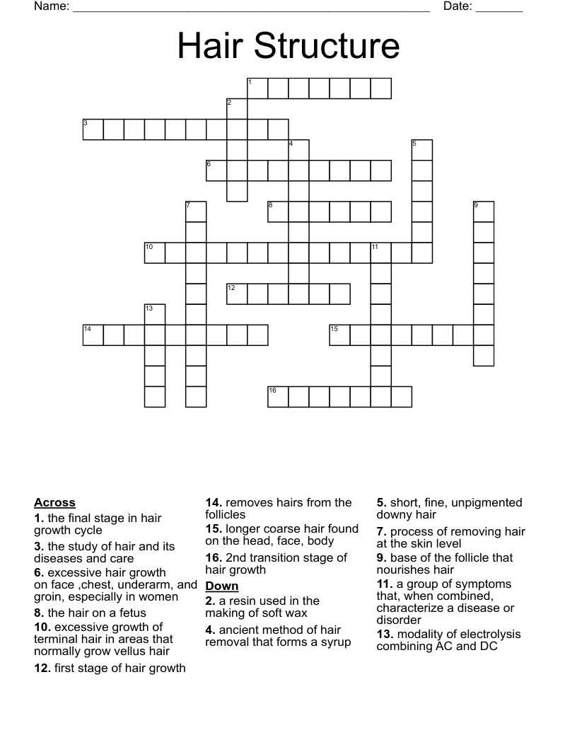 Hair Structure Crossword