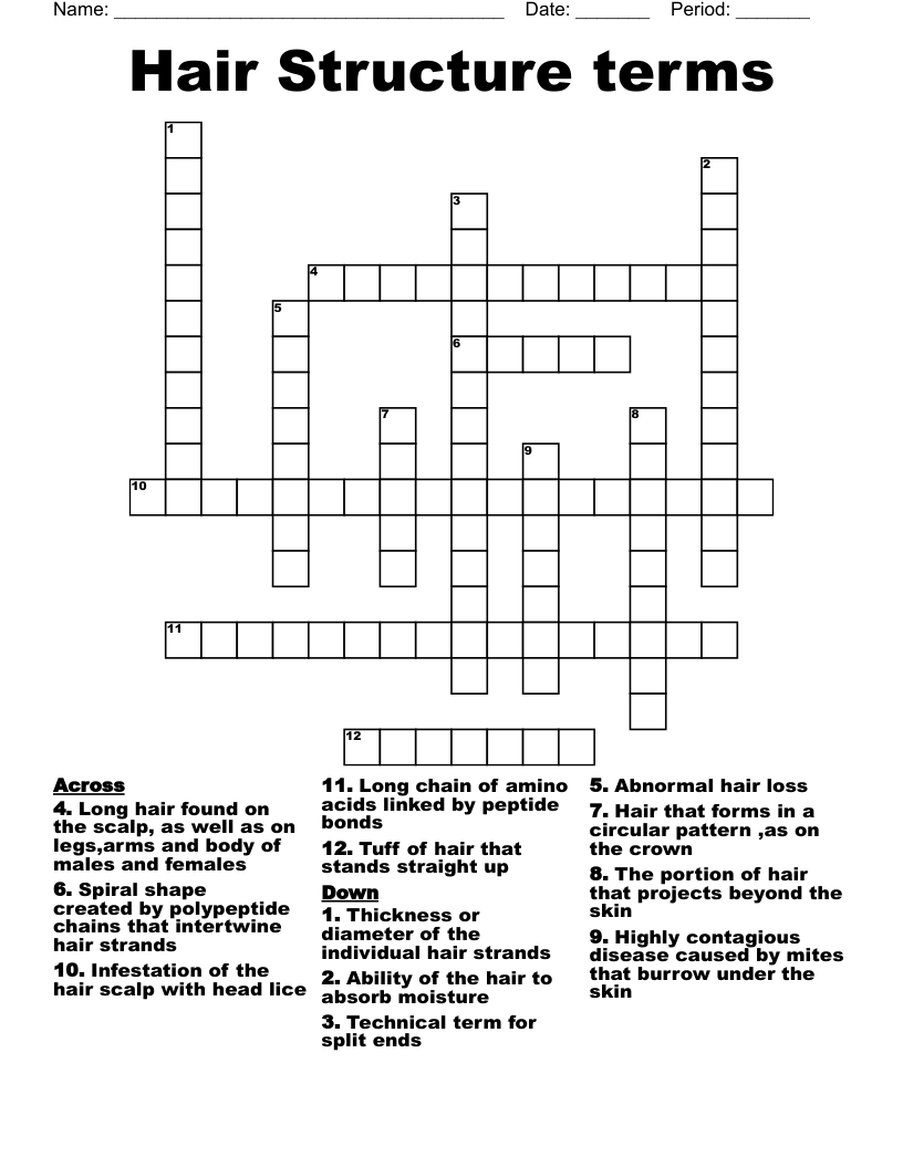 Hair Structure terms  Crossword