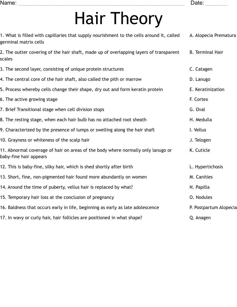 Hair Theory Worksheet