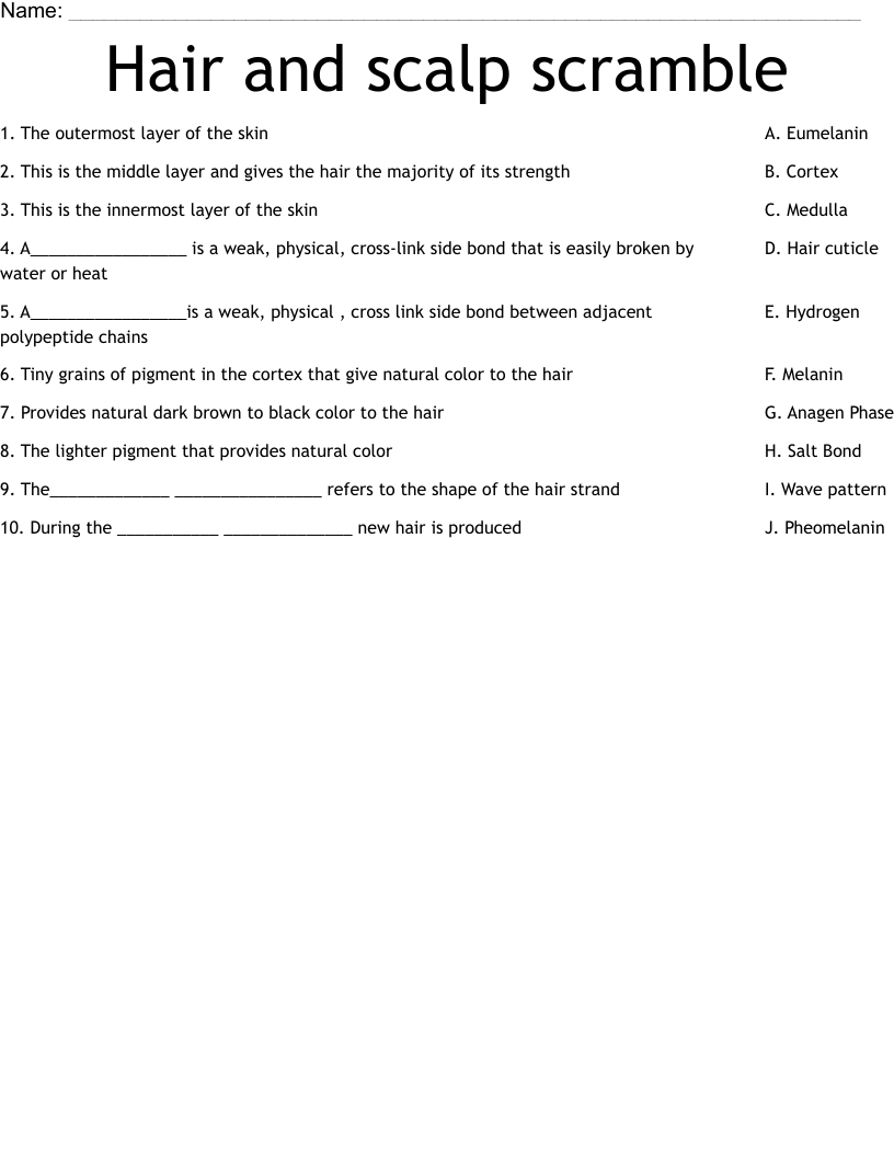 Hair and scalp scramble  Worksheet