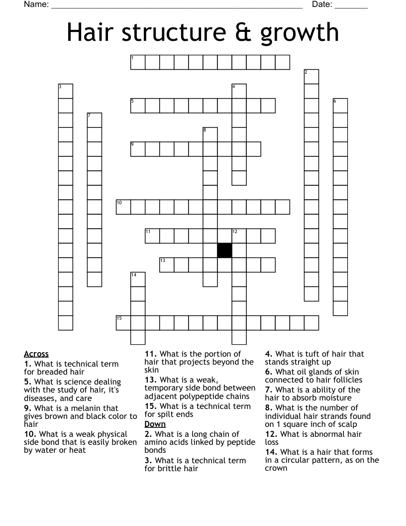 Hair structure & growth Crossword