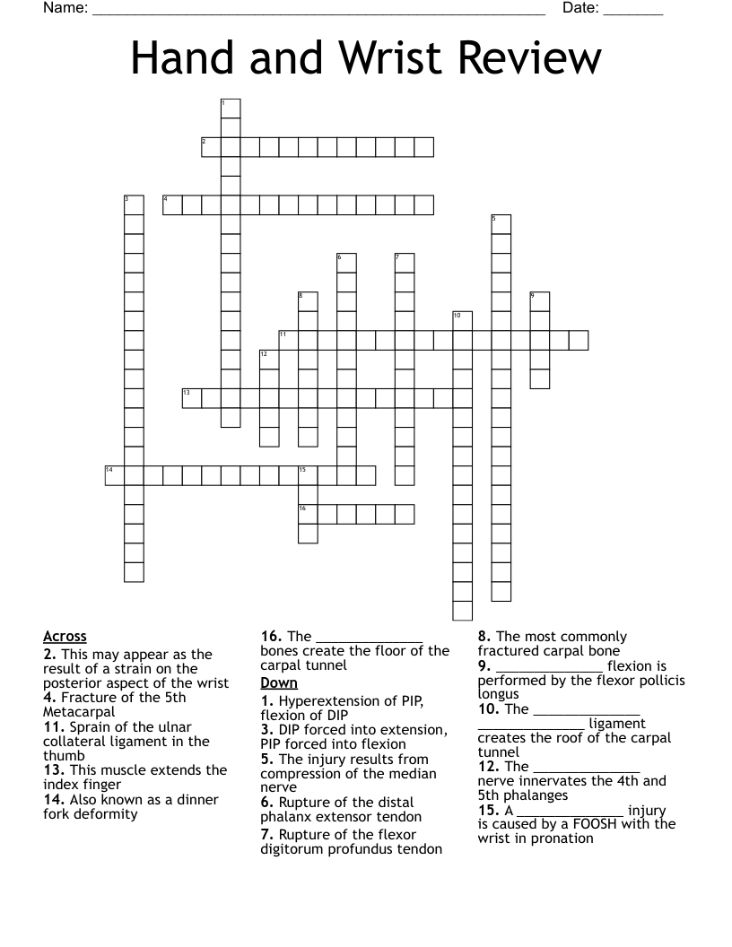 Hand and Wrist Review Crossword