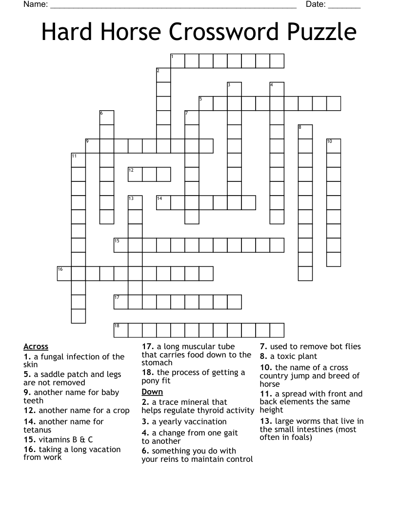Hard Horse Crossword Puzzle
