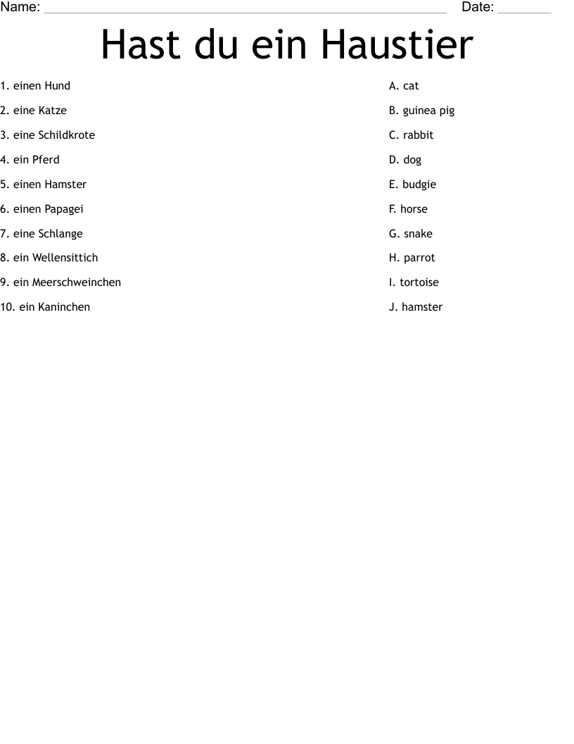 Hast du ein Haustier Worksheet