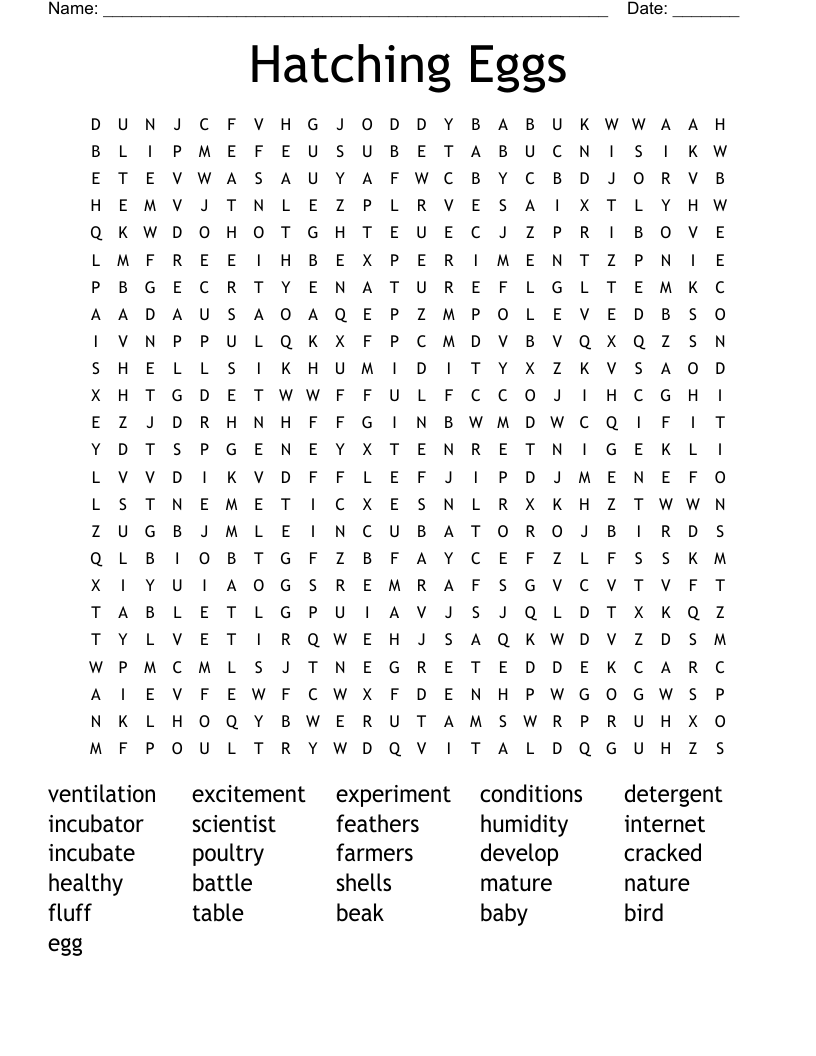 Hatching Eggs Word Search