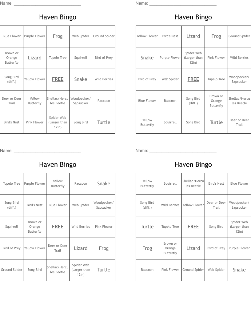 Haven Bingo