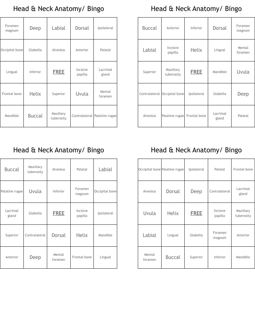 Head & Neck Anatomy/ Bingo
