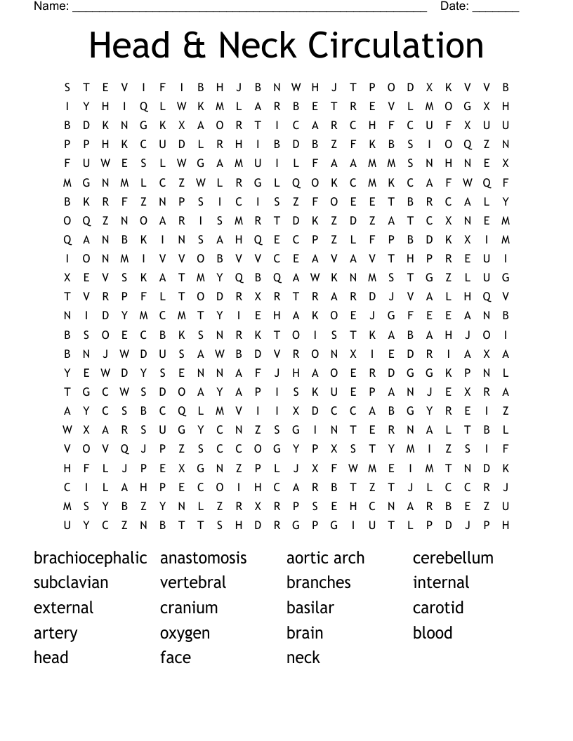 Head & Neck Circulation Word Search
