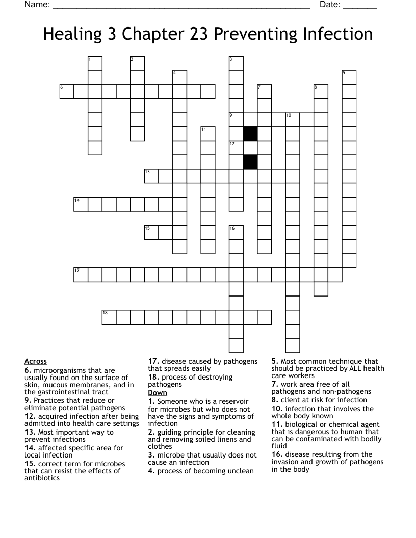 Healing 3 Chapter 23 Preventing Infection Crossword
