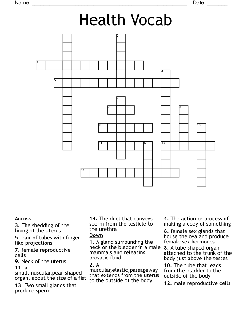 Health Vocab Crossword