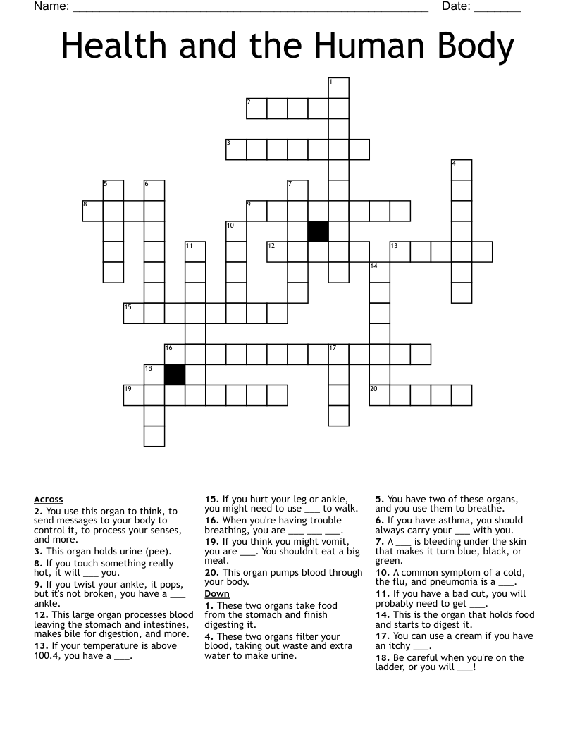 Health and the Human Body Crossword
