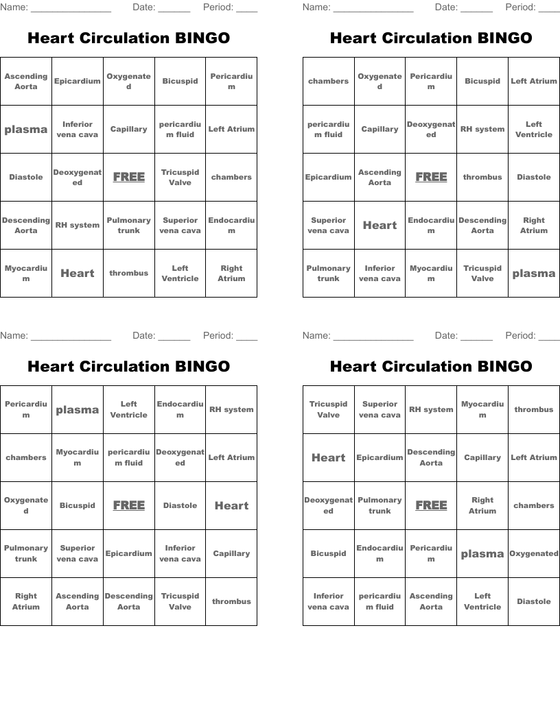 Heart Circulation BINGO