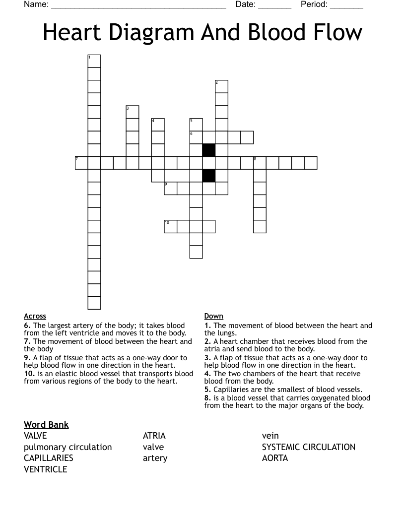 Heart Diagram And Blood Flow Crossword