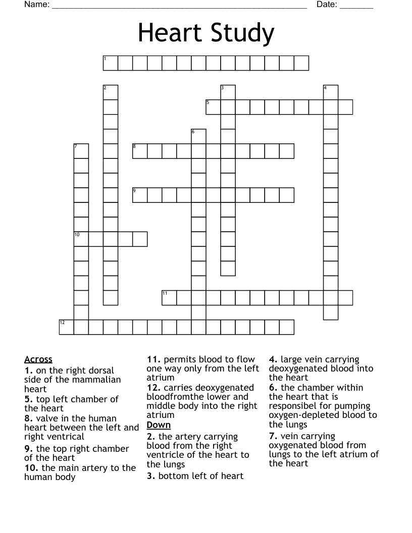Heart Study Crossword