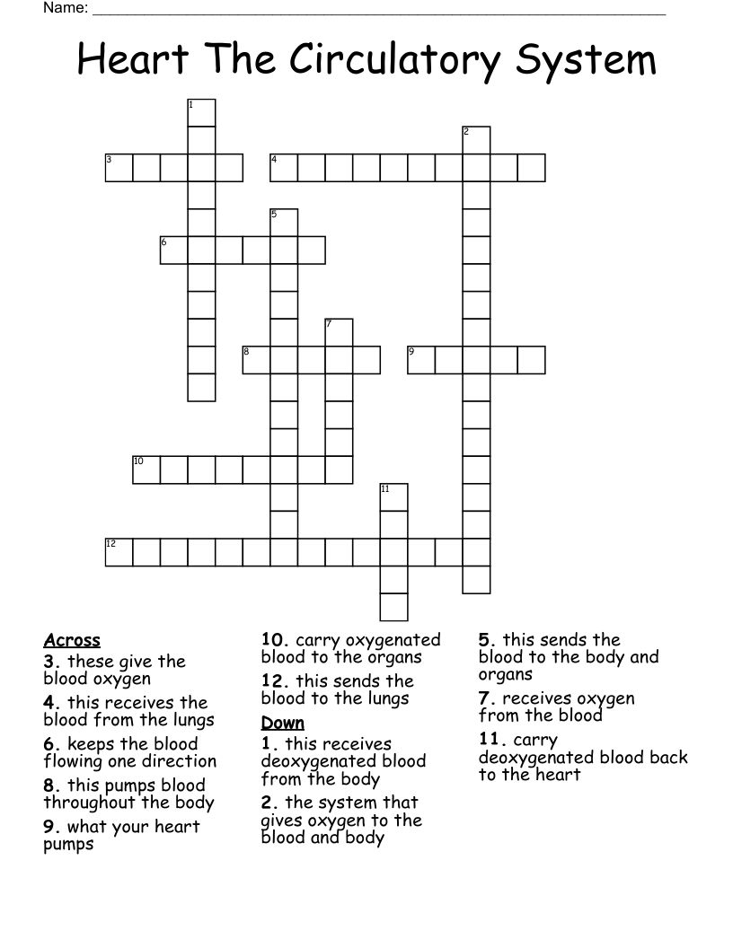 Heart The Circulatory System Crossword