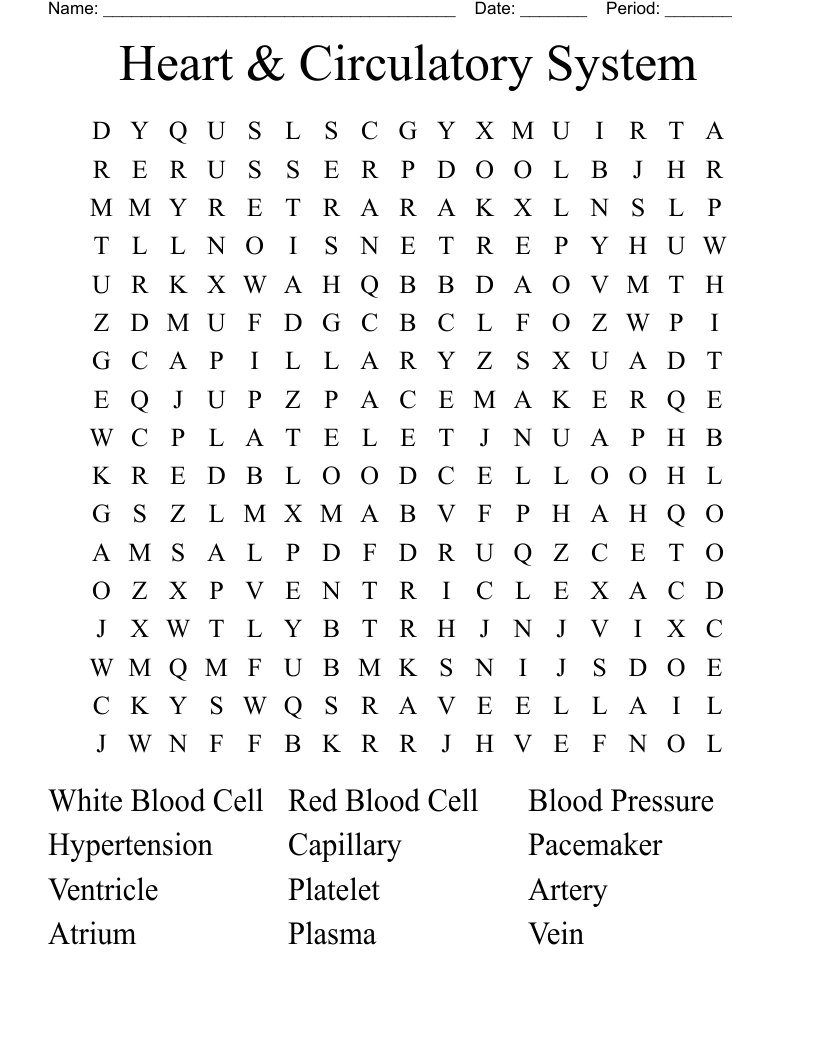 Heart & Circulatory System Word Search