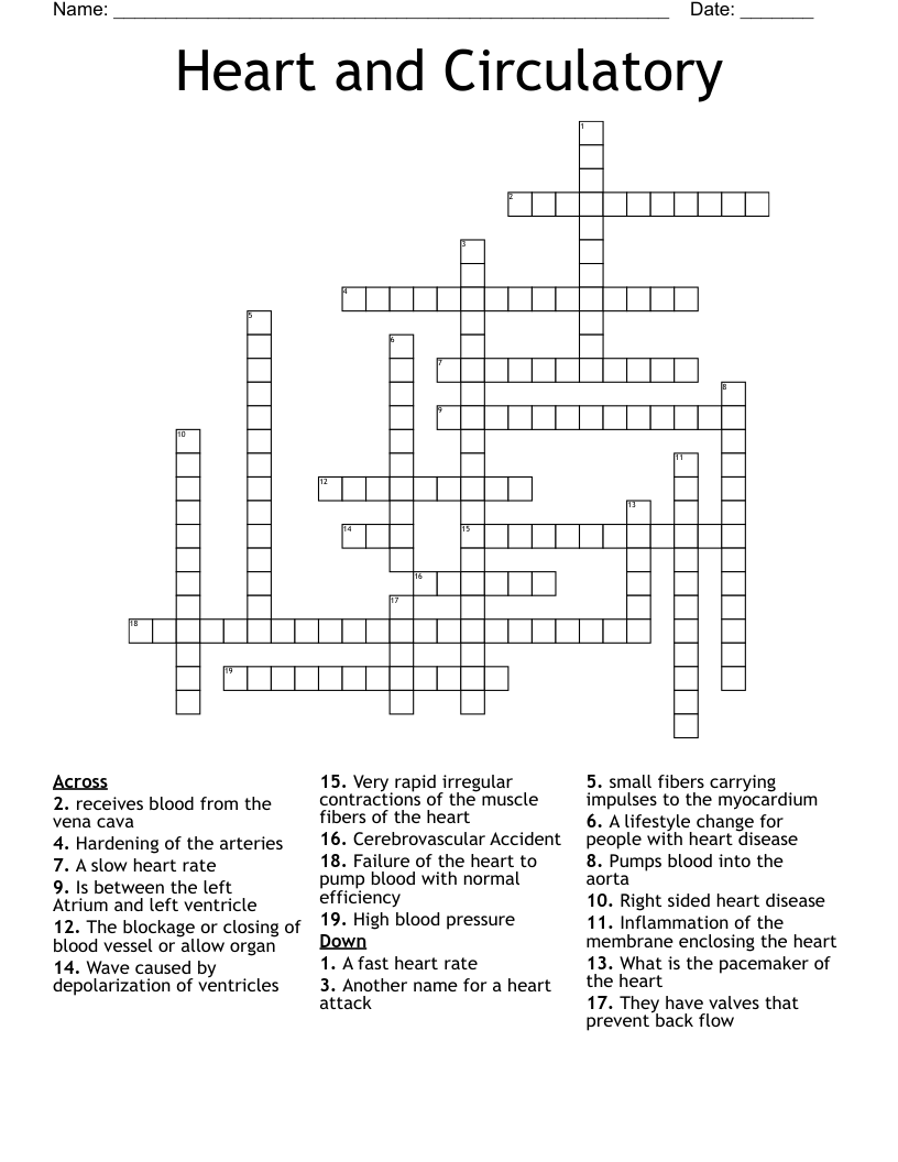 Heart and Circulatory Crossword