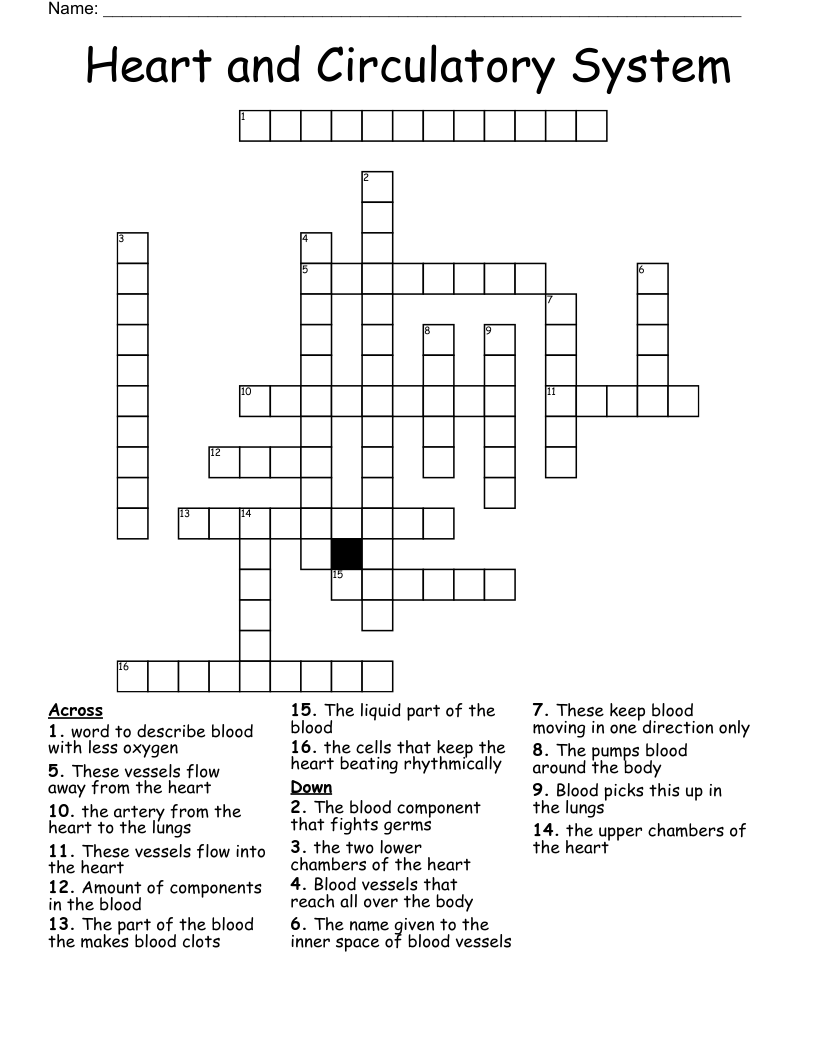 Heart and Circulatory System Crossword