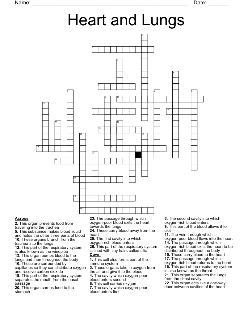 Heart and Lungs Crossword