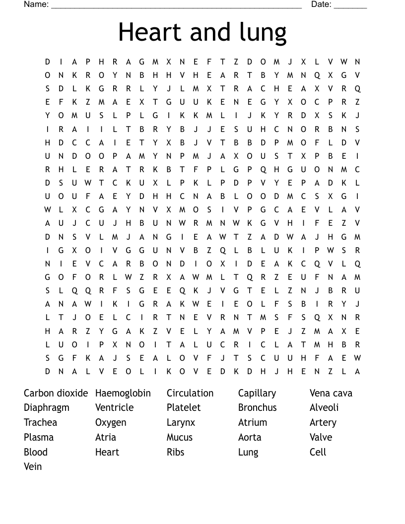 Heart and lung Word Search
