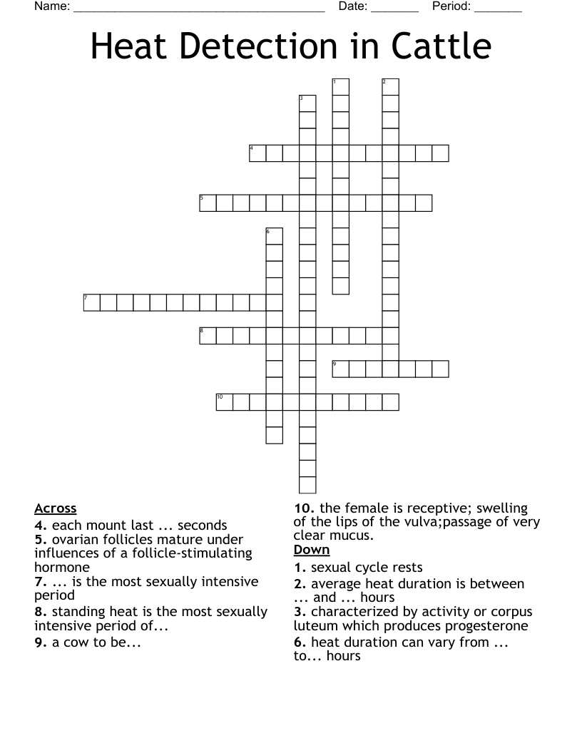 Heat Detection in Cattle Crossword