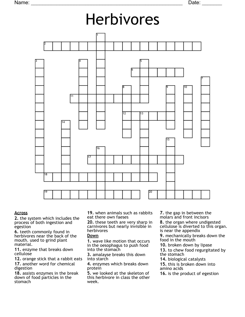 Herbivores Crossword