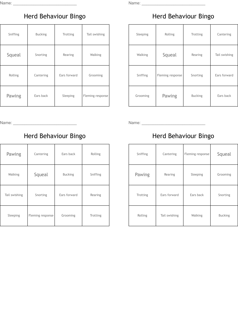 Herd Behaviour Bingo